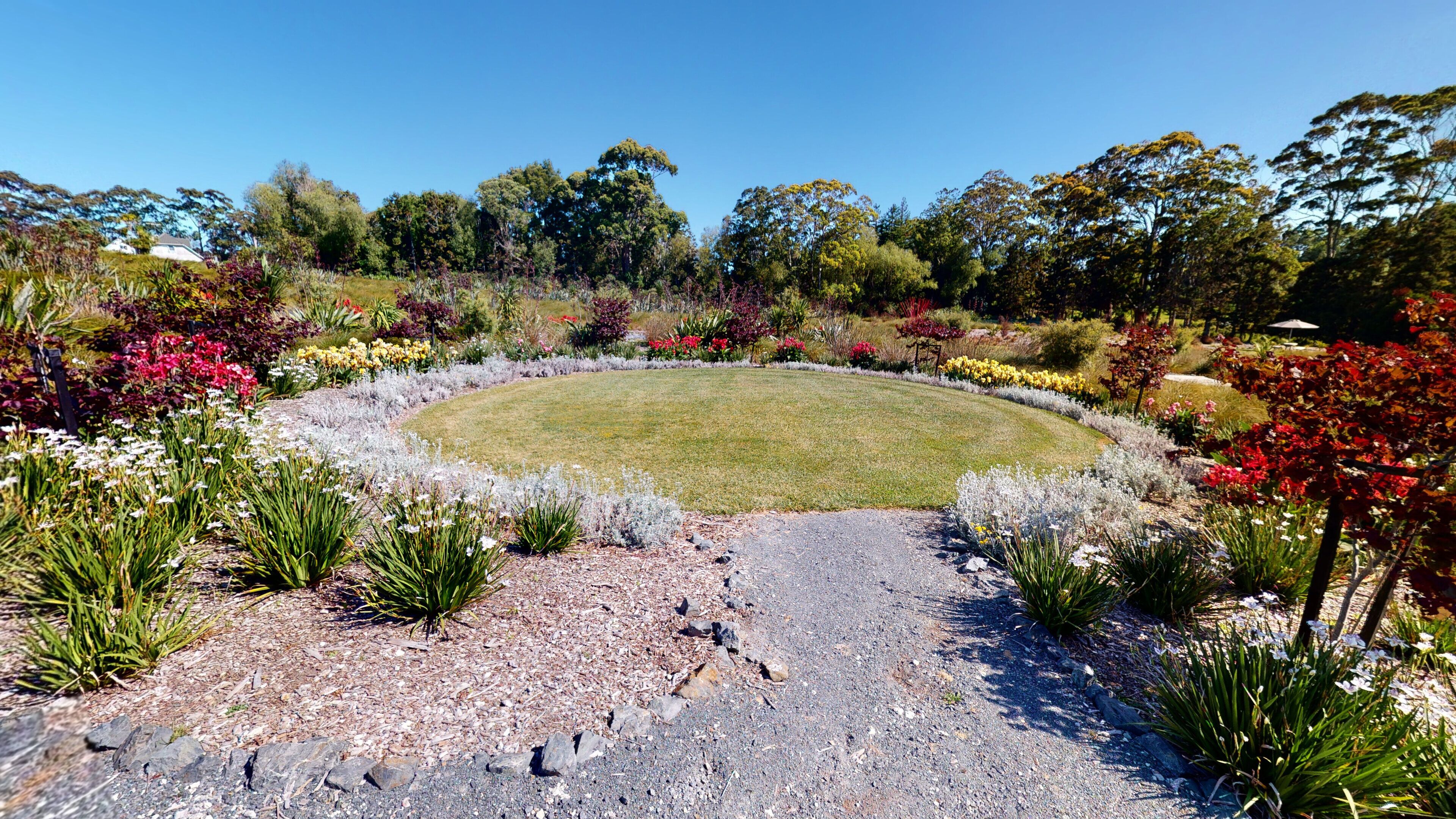 Um jardim ajardinado com um gramado circular central, rodeado por diversas plantas floríferas e arbustos.