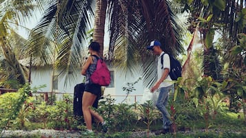 Dos personas caminando en un jardín con palmeras y diversas plantas.