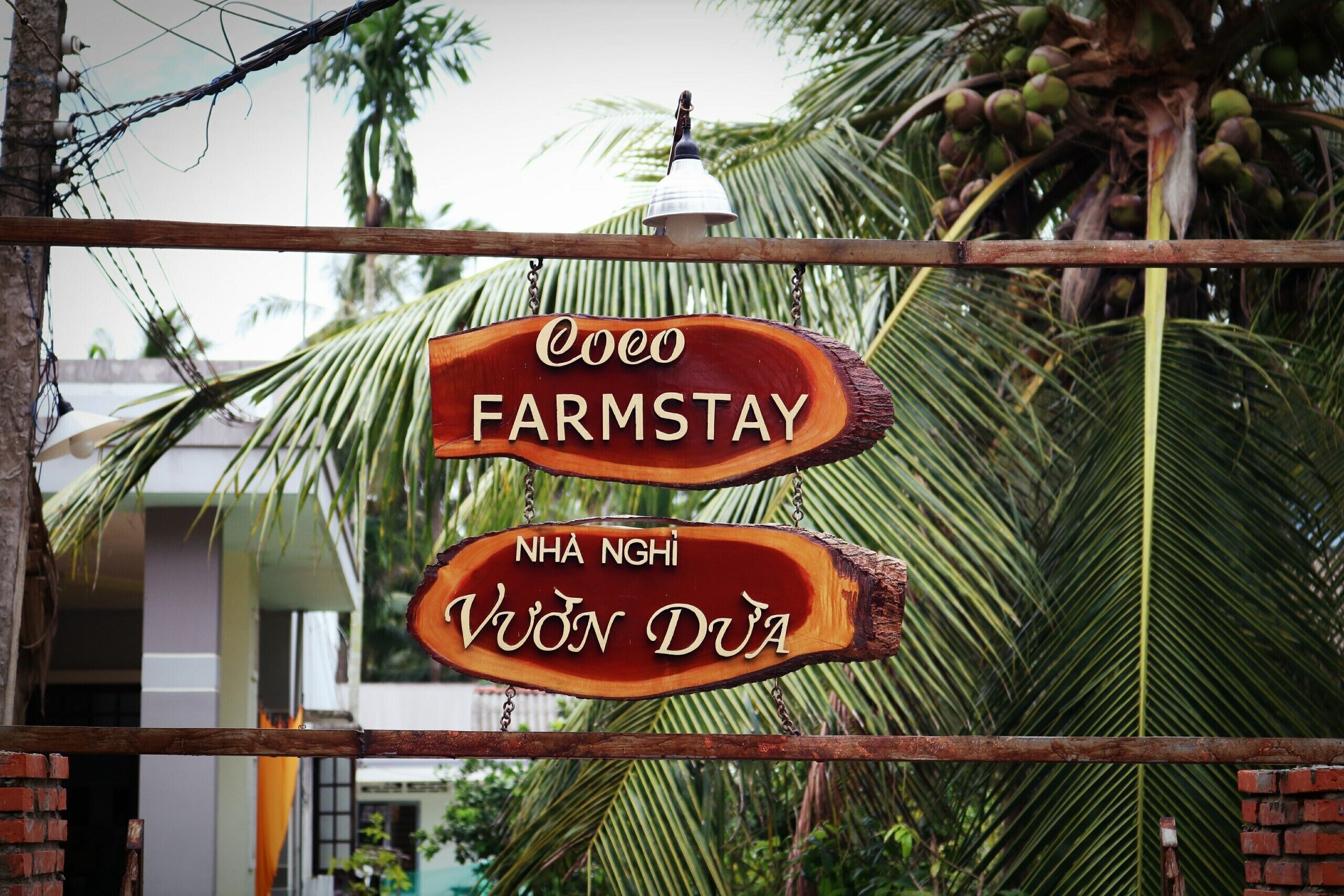 Een houten bord met daarop 'Coco Farmstay' en 'Nha Nghi Vung Dua', bevestigd aan een metalen hek, met palmbomen op de achtergrond.