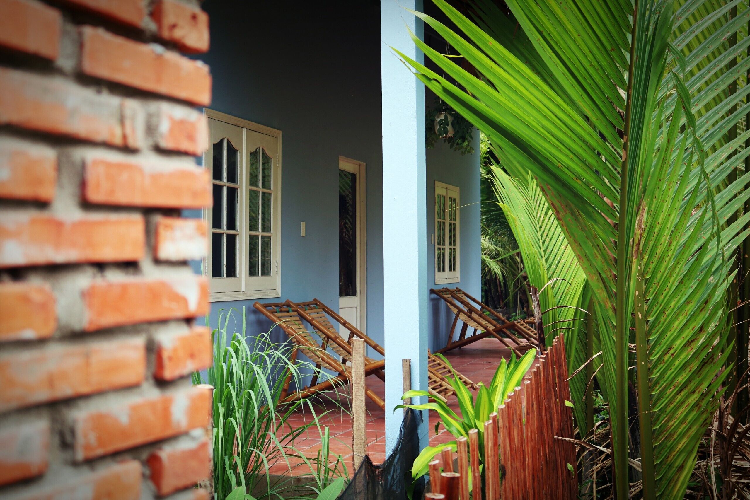 A room with a brick wall, wooden furniture, and a large plant.