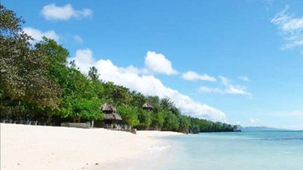 A beach with white sand, clear blue water, and lush green trees. - Transit Point Hostel Mactan Cebu (Lapu-Lapu)