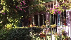 A building with balconies covered in purple bougainvillea flowers and potted plants. - Shantihome Hostel (Izmir)
