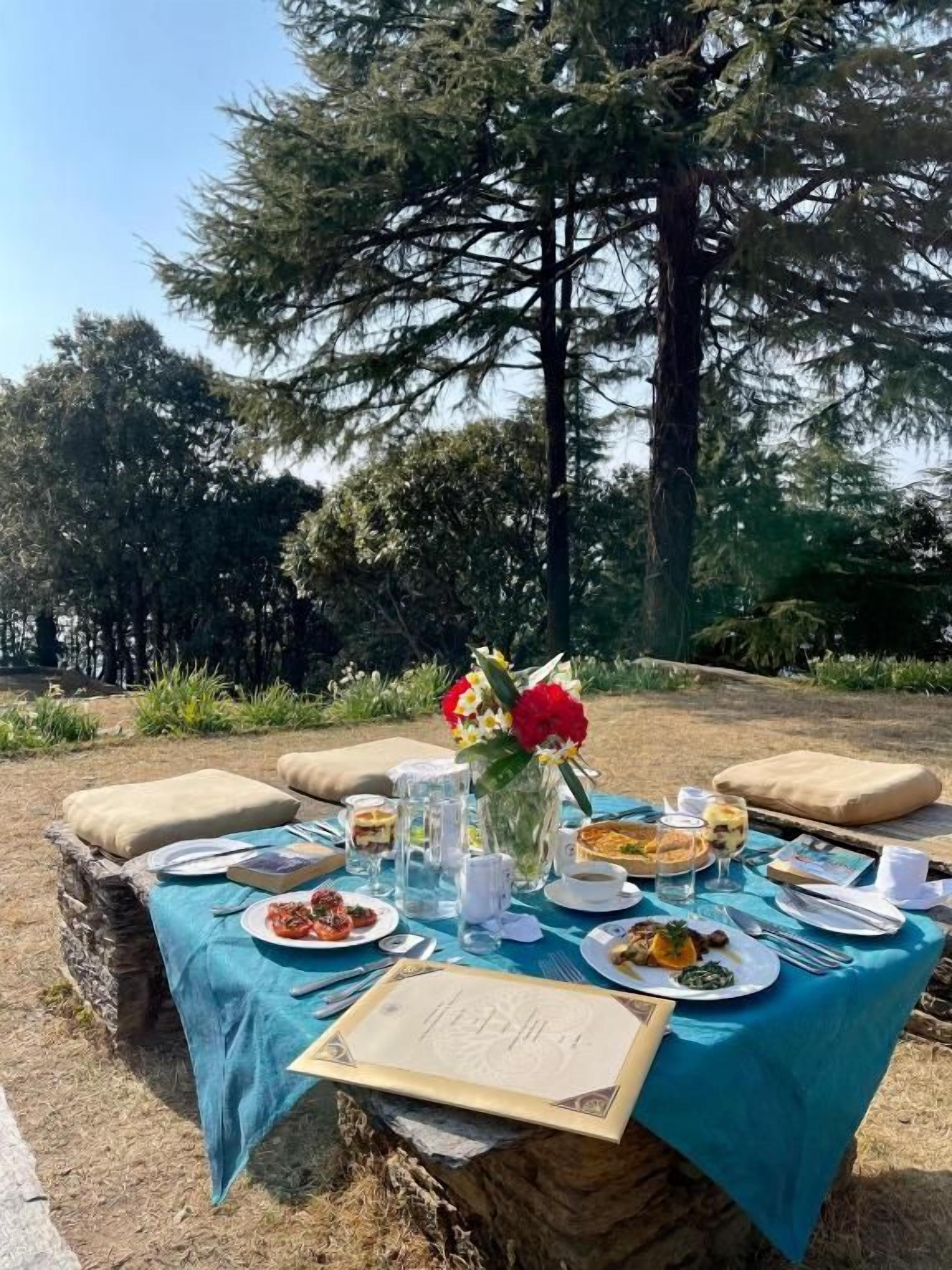 An outdoor dining table set with a blue tablecloth, surrounded by natural scenery and a large tree.