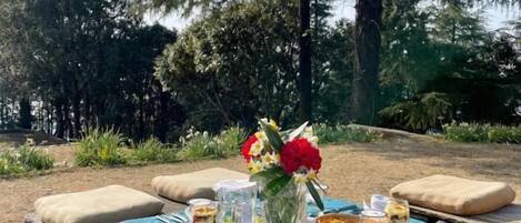 An outdoor dining table set with a blue tablecloth, surrounded by natural scenery and a large tree.