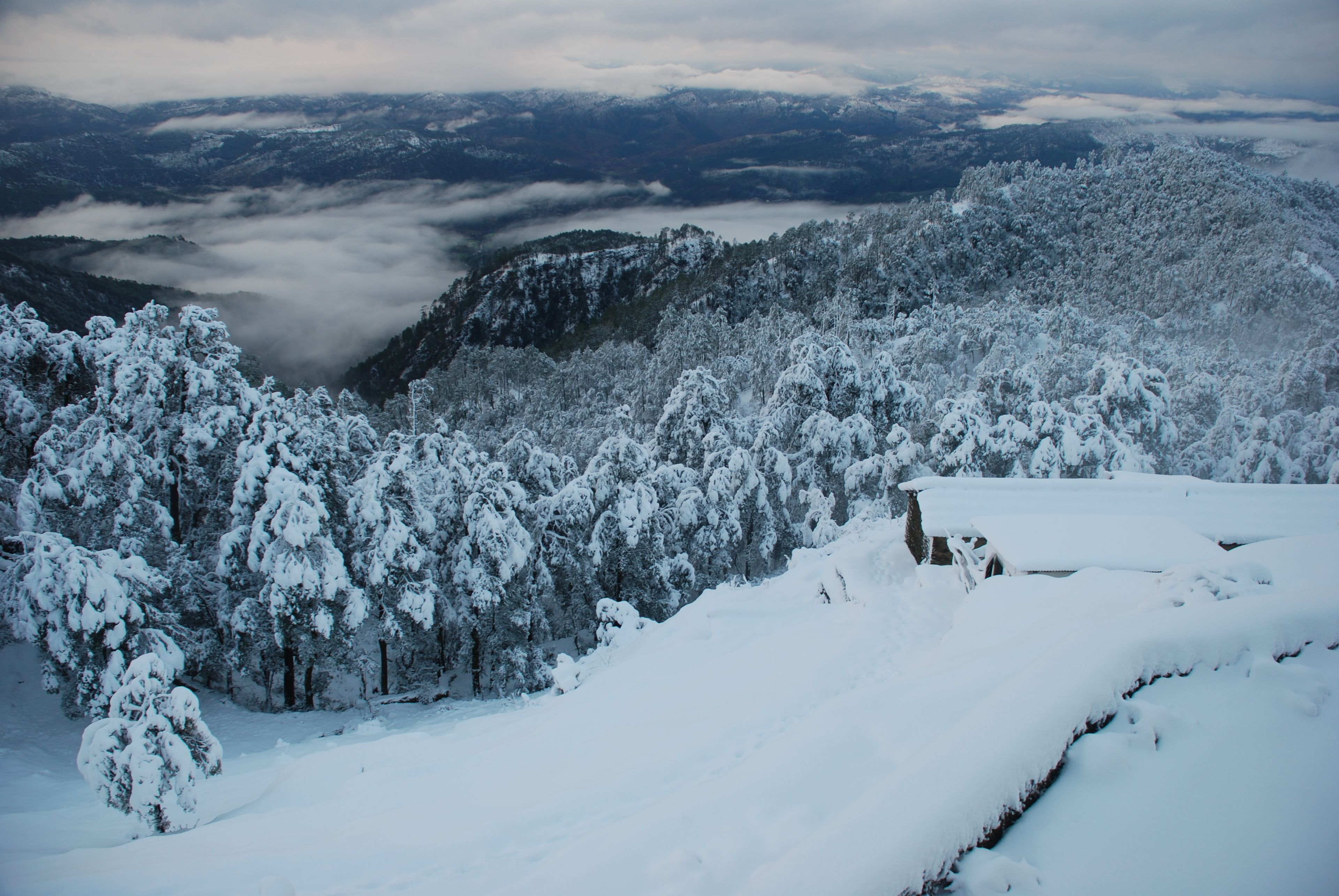 A snow-covered mountainous landscape with dense forests and a valley below.