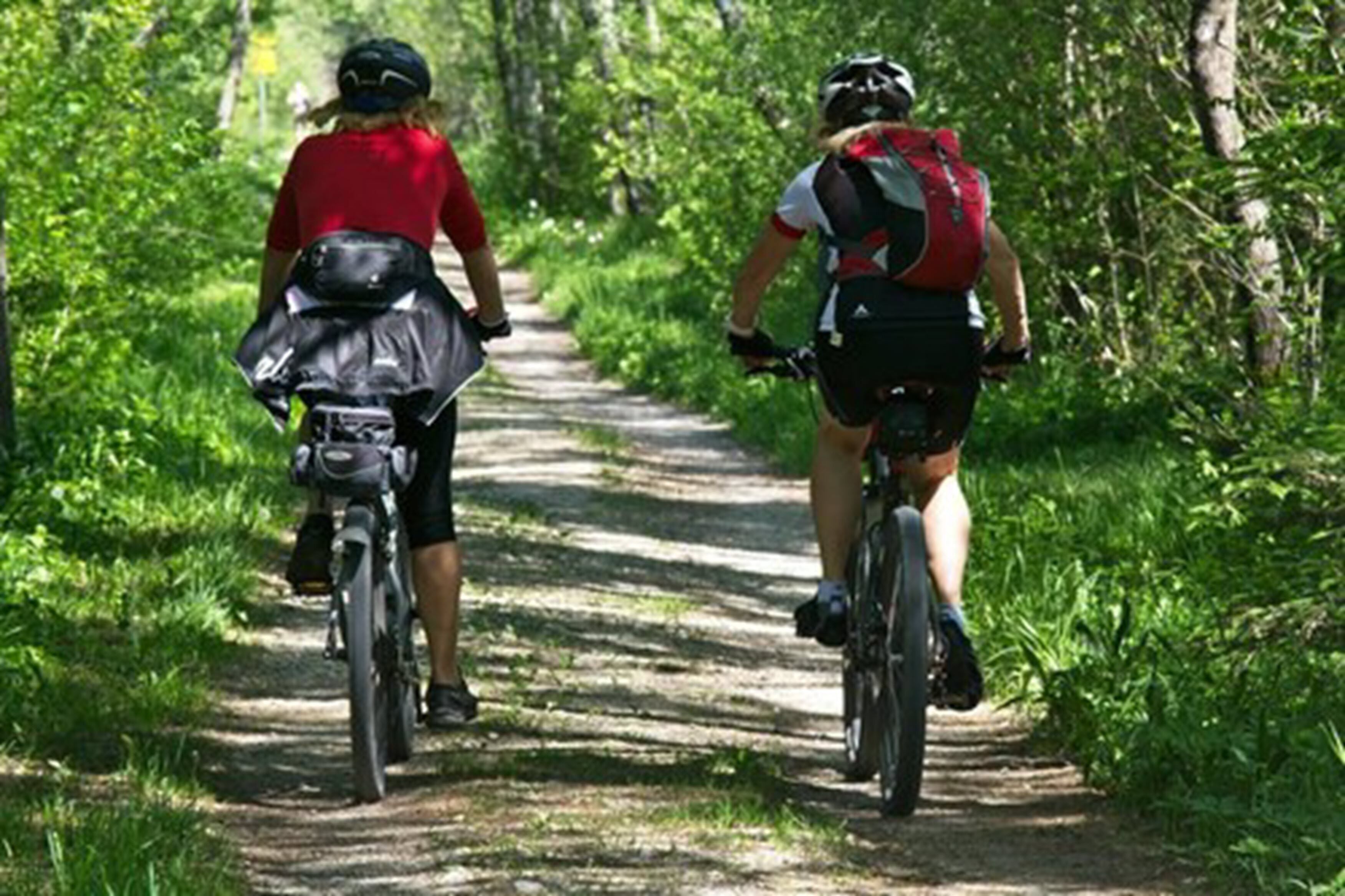 Dos ciclistas en un sendero de tierra rodeados de follaje.