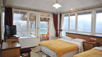 Minibar, desk, iron/ironing board, free WiFi