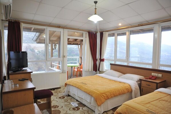 Minibar, desk, iron/ironing board, free WiFi
