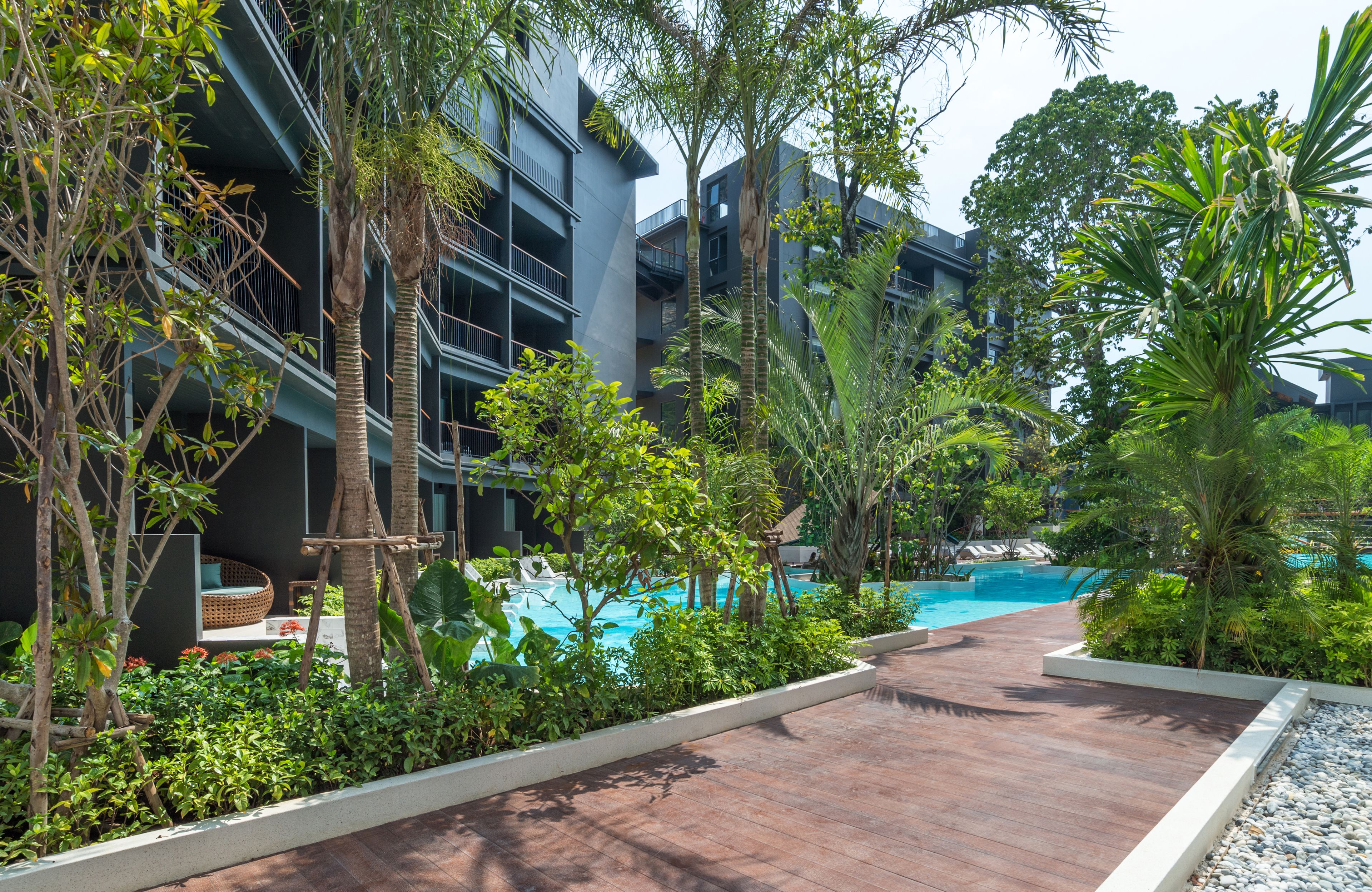 A modern hotel with a swimming pool surrounded by lush greenery and a wooden deck.