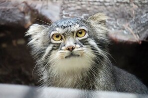 Point of interest - Tosei Hotel Cocone Kanda (Tokyo)