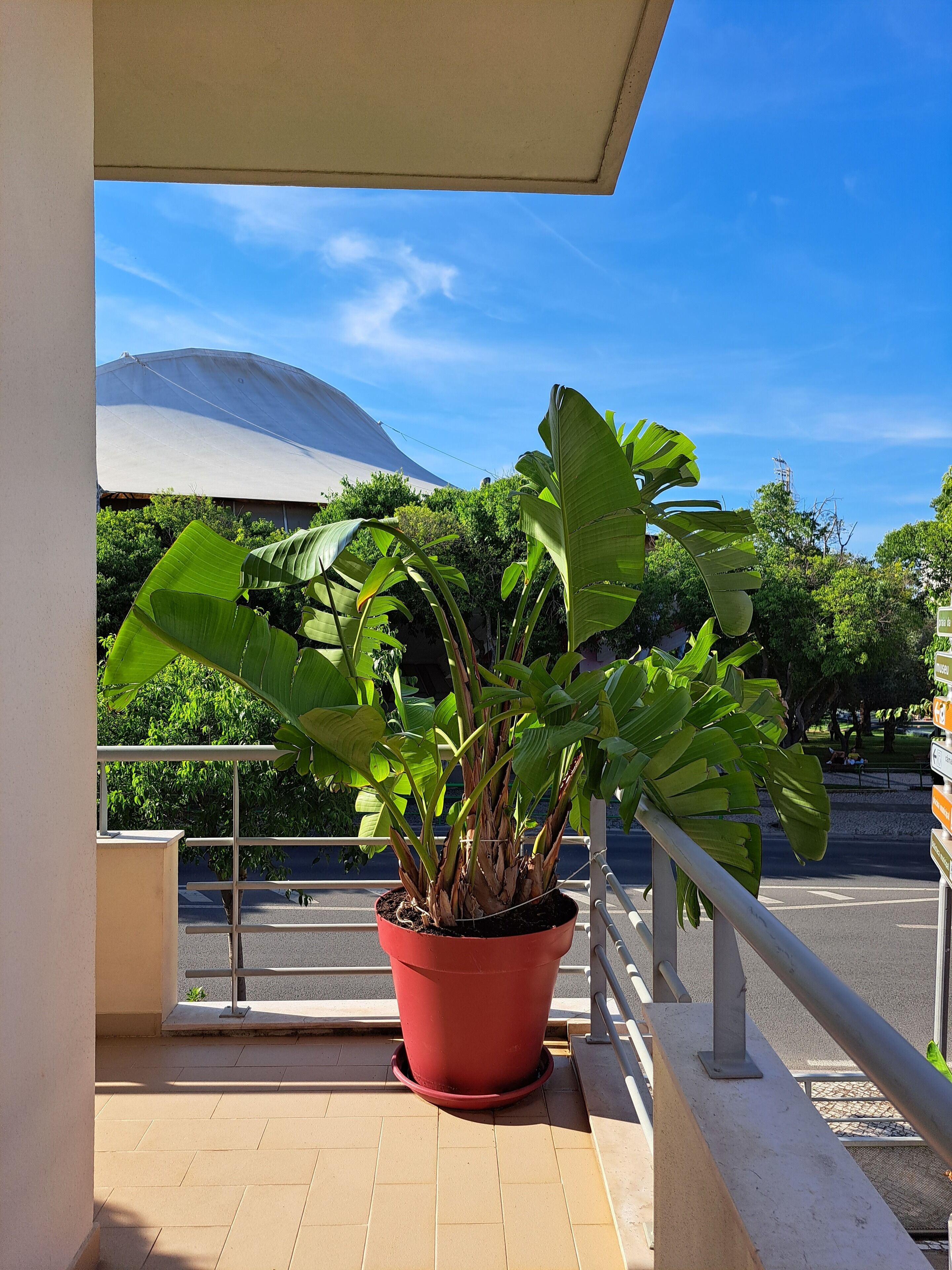 Foto - Villa Prana Guesthouse, Yoga & Ayurveda