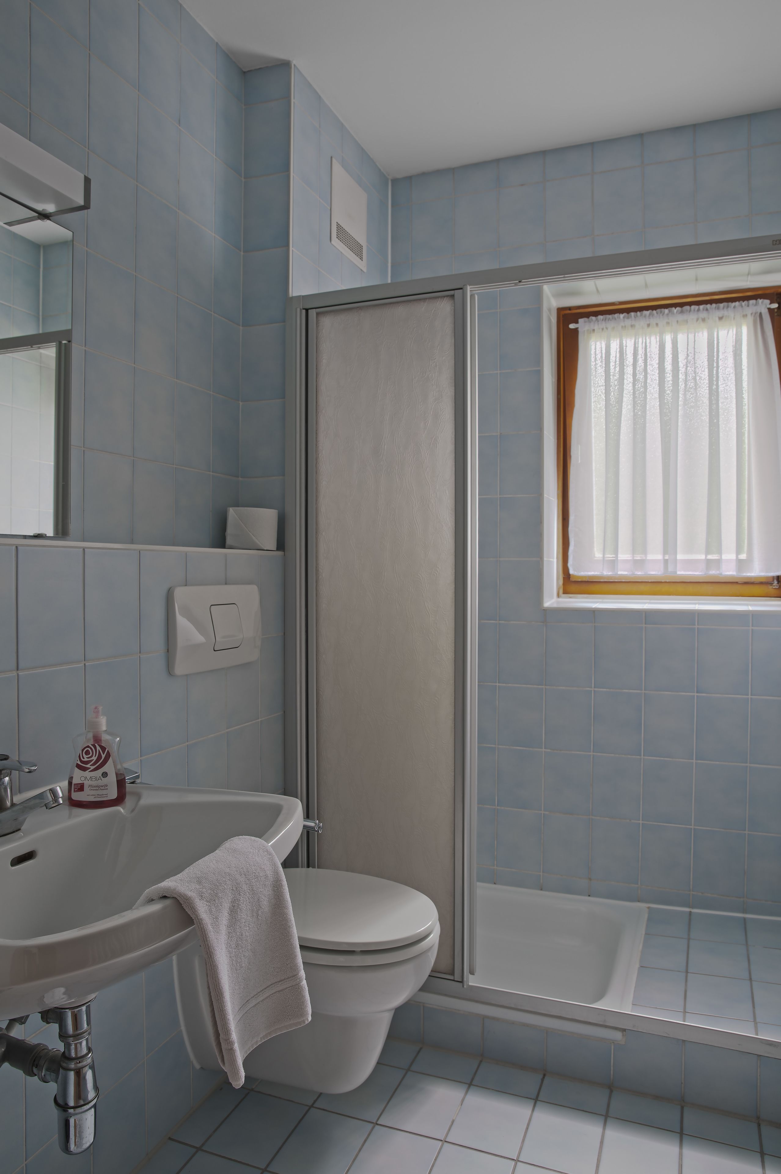Un baño con inodoro, lavabo y ducha.