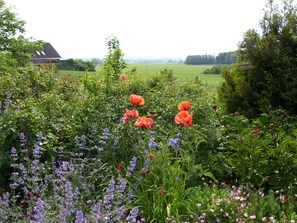 A garden with various flowers and a house in the background. - Klintholm Bed & Breakfast (Borre)