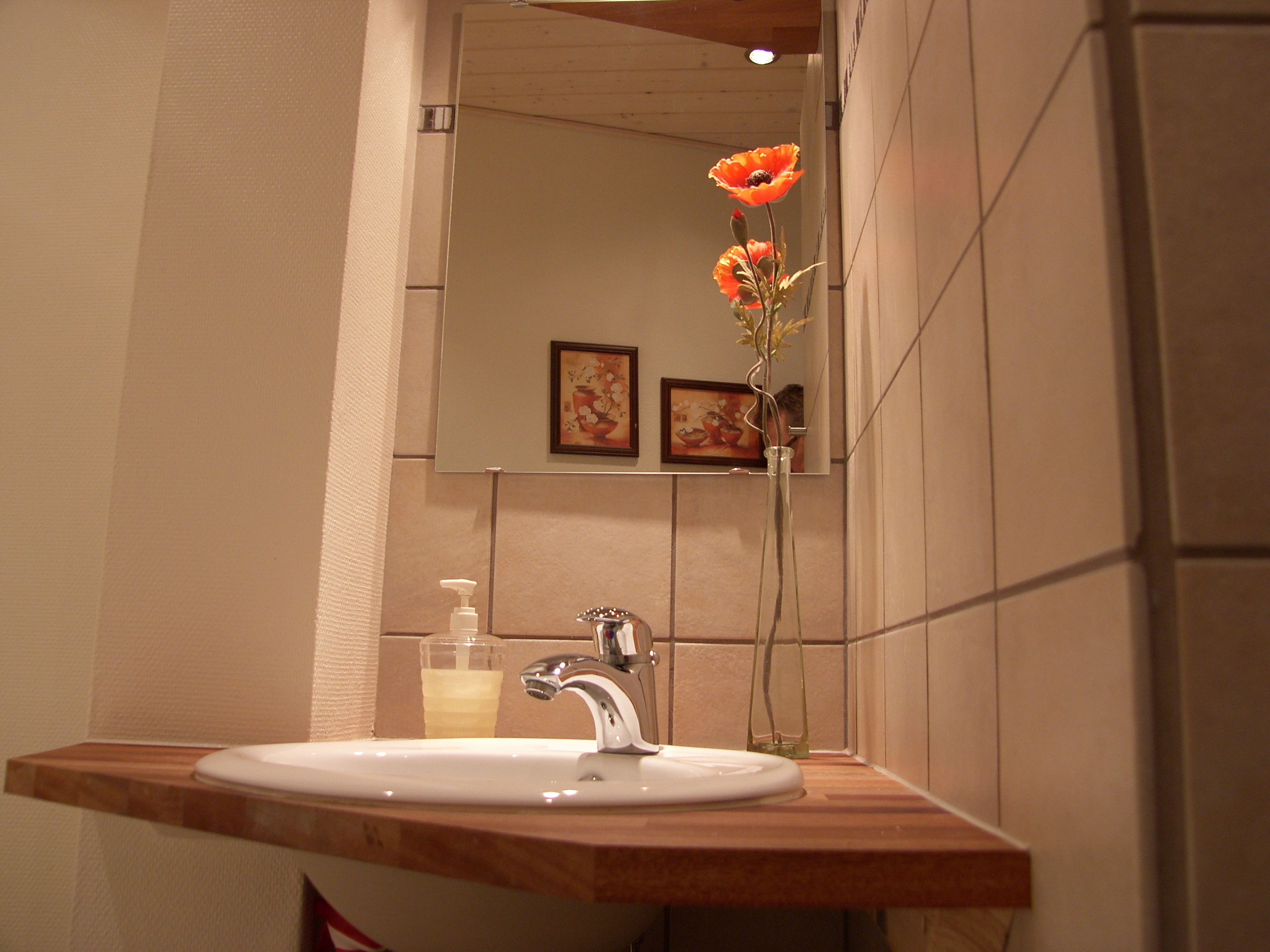 A bathroom with a sink, mirror, and two framed pictures on the wall.