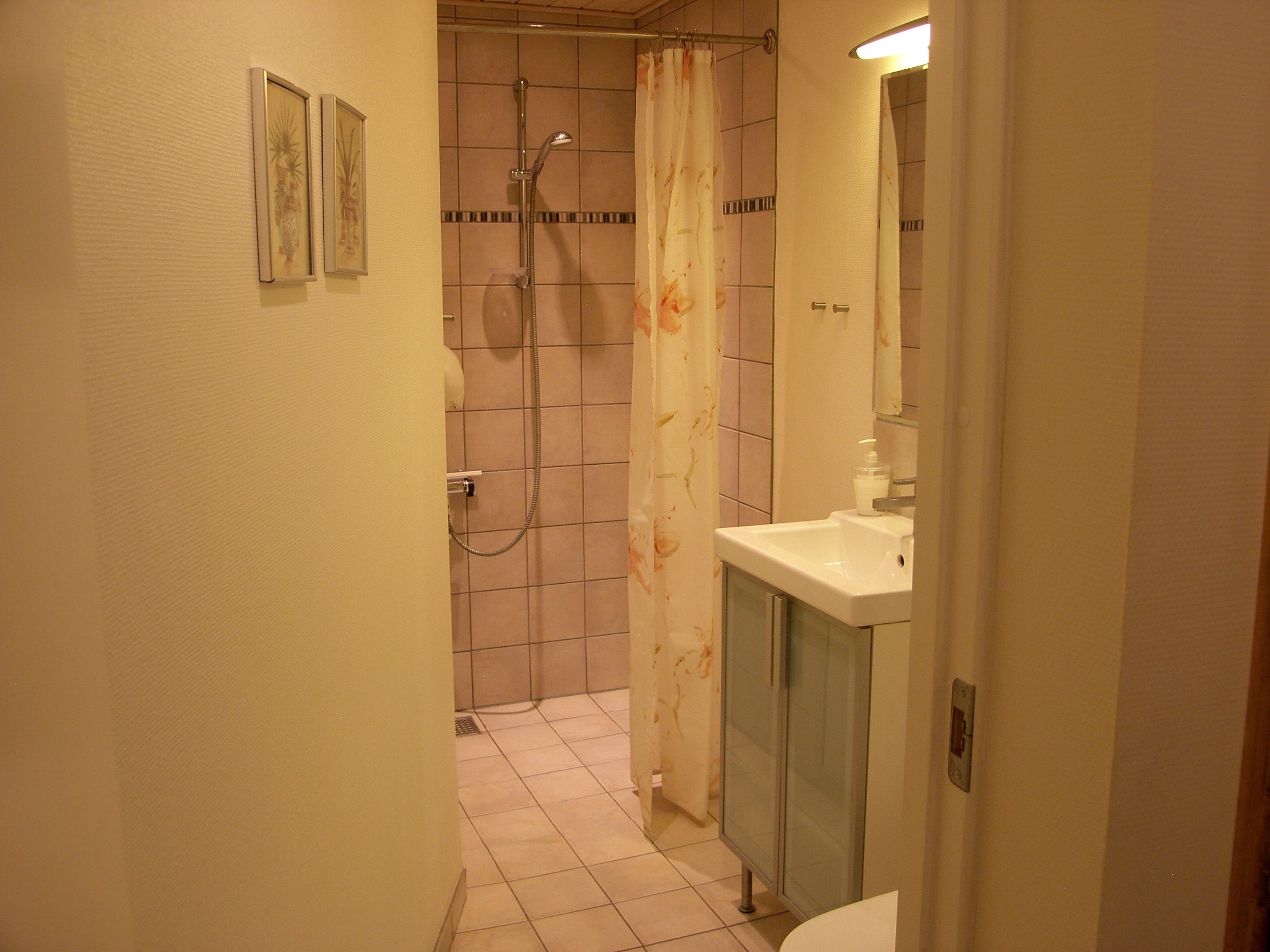 Een badkamer met een douche, een wastafel en een spiegel.