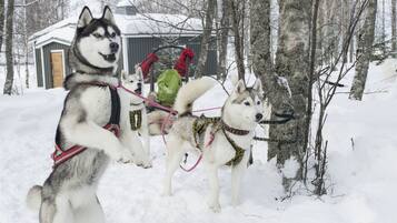 Paseos con raquetas de nieve