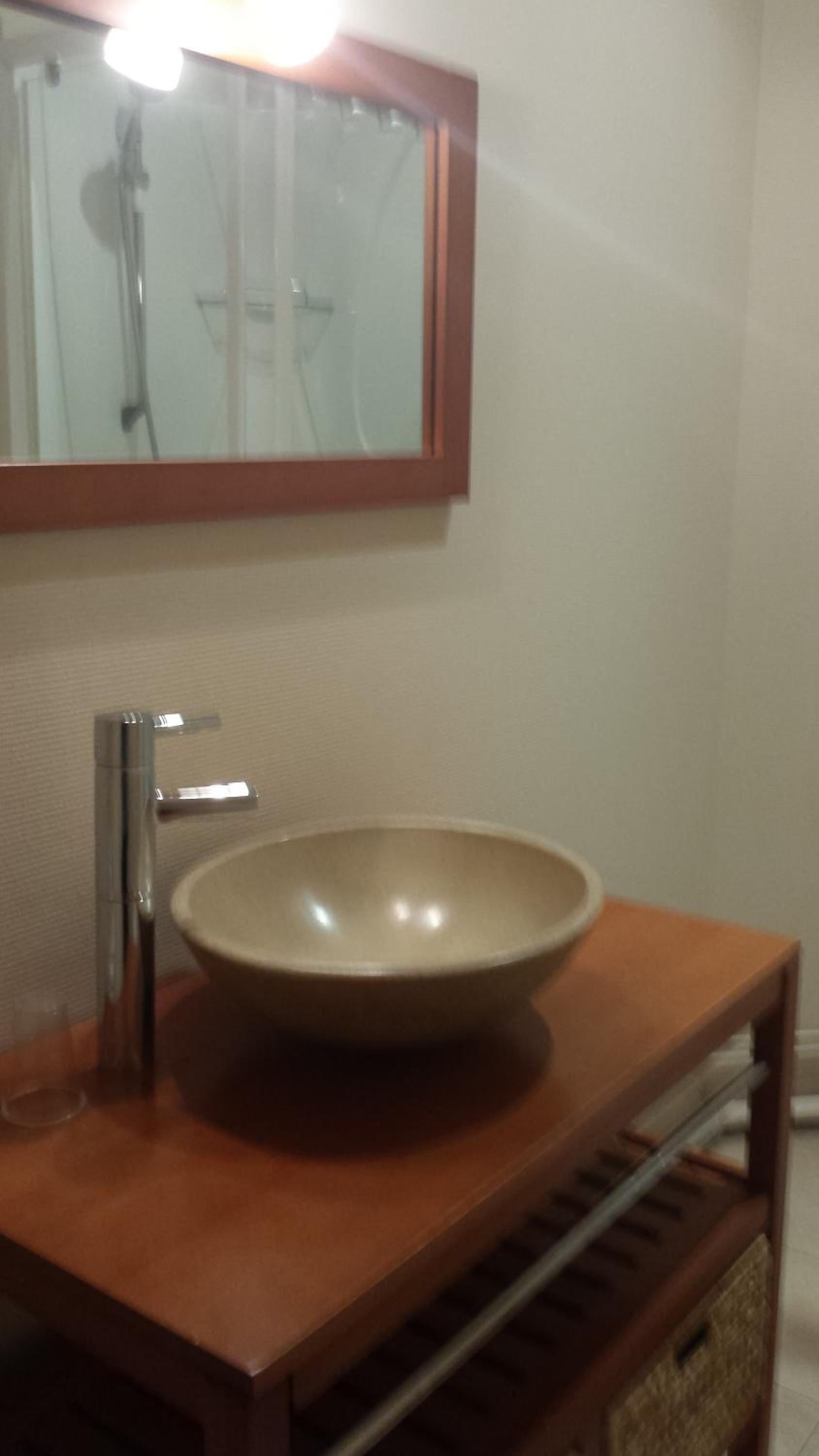 A bathroom with a large, round sink on a wooden vanity, a mirror above the sink, and a shower visible in the background.