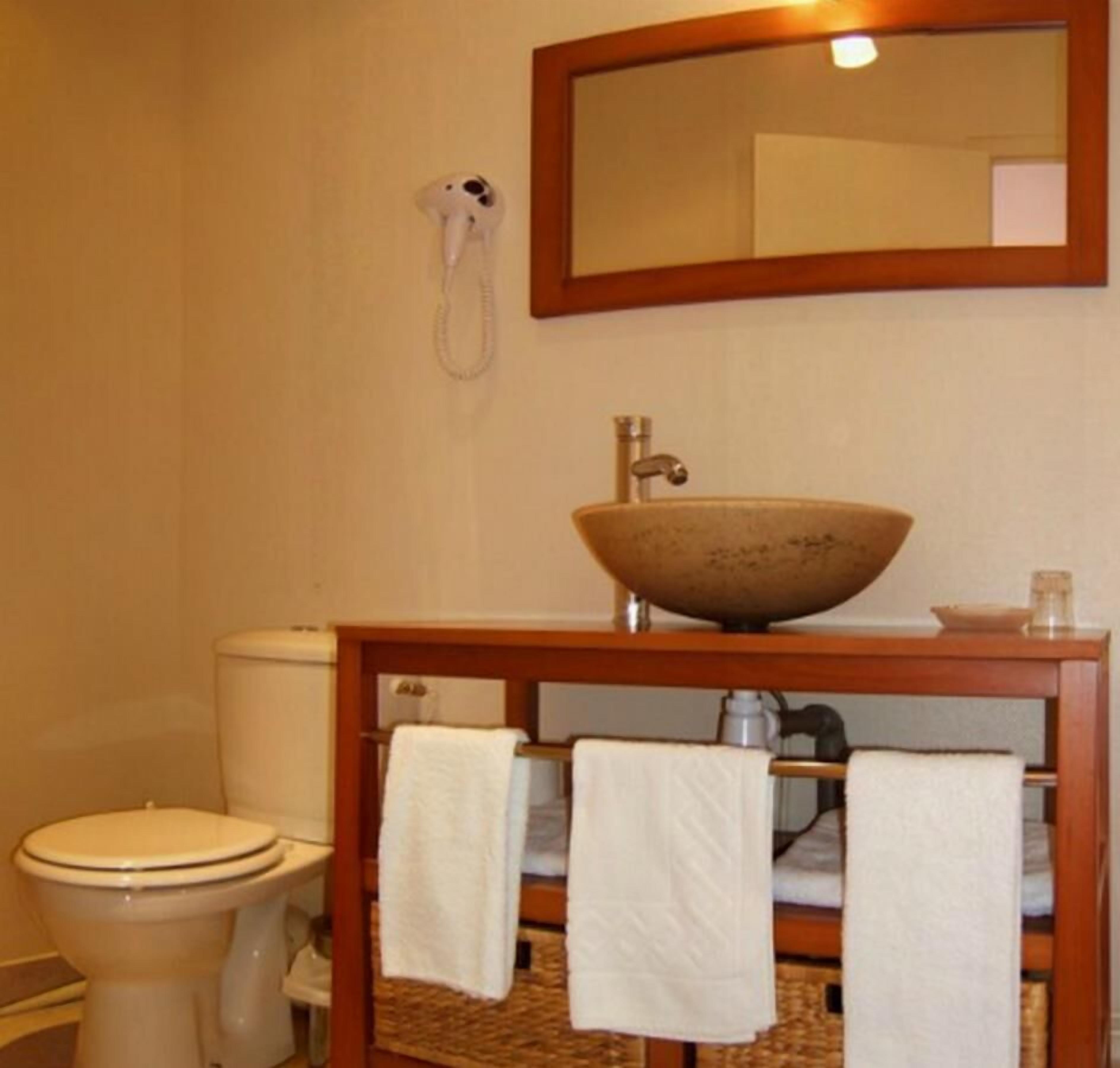 A bathroom with a wooden vanity, a large bowl sink, a toilet, and a mirror above the vanity.