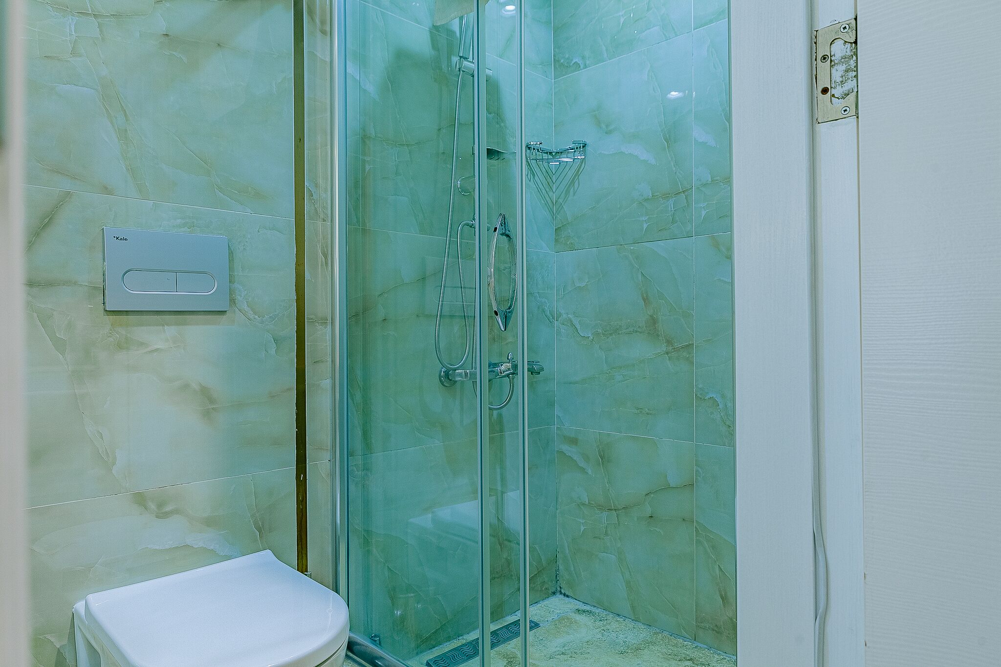Une douche fermée par des parois en verre, dotée d’un pommeau de douche à main et d’un panneau de commande fixé au mur.