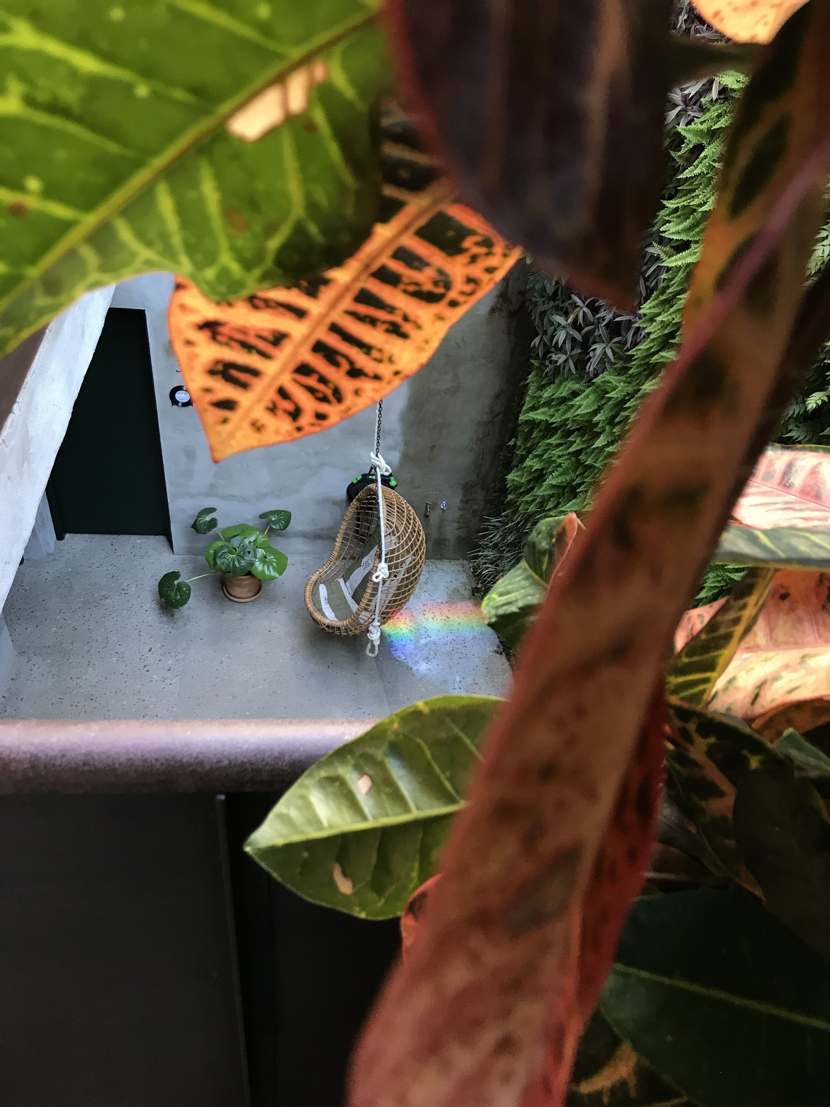 Foto - Kook Hotel Tarifa