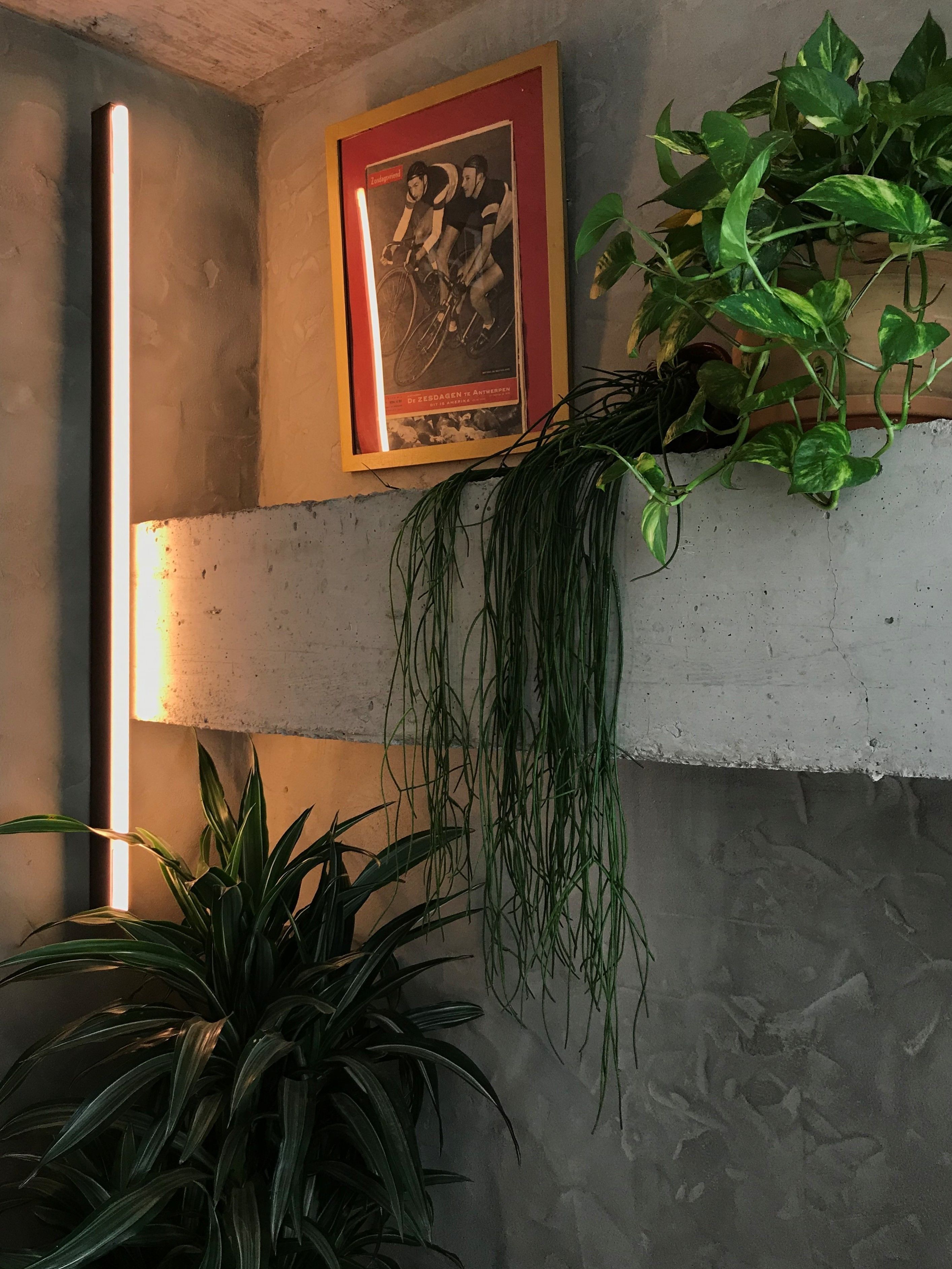 Foto - Kook Hotel Tarifa