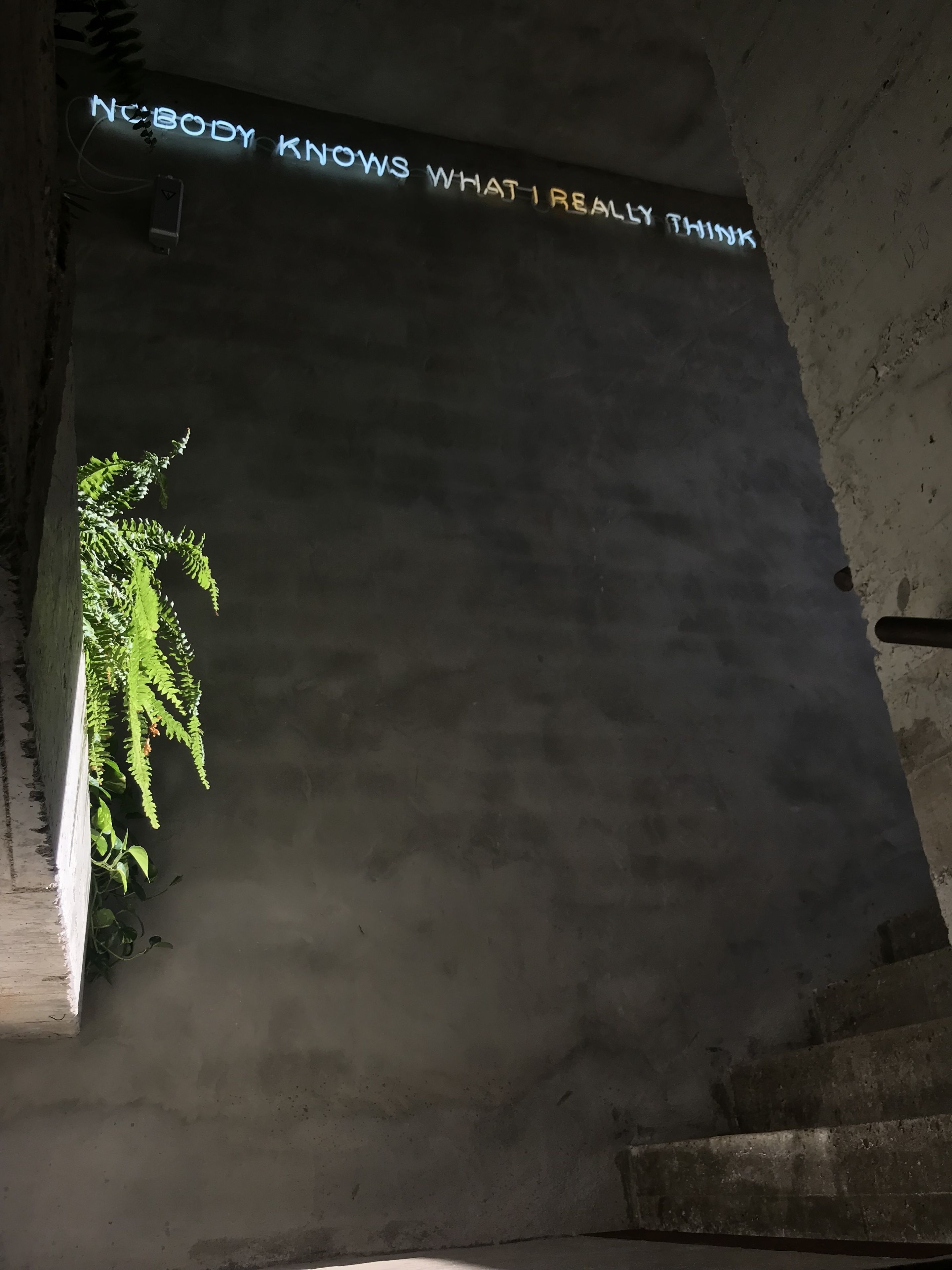 Foto - Kook Hotel Tarifa