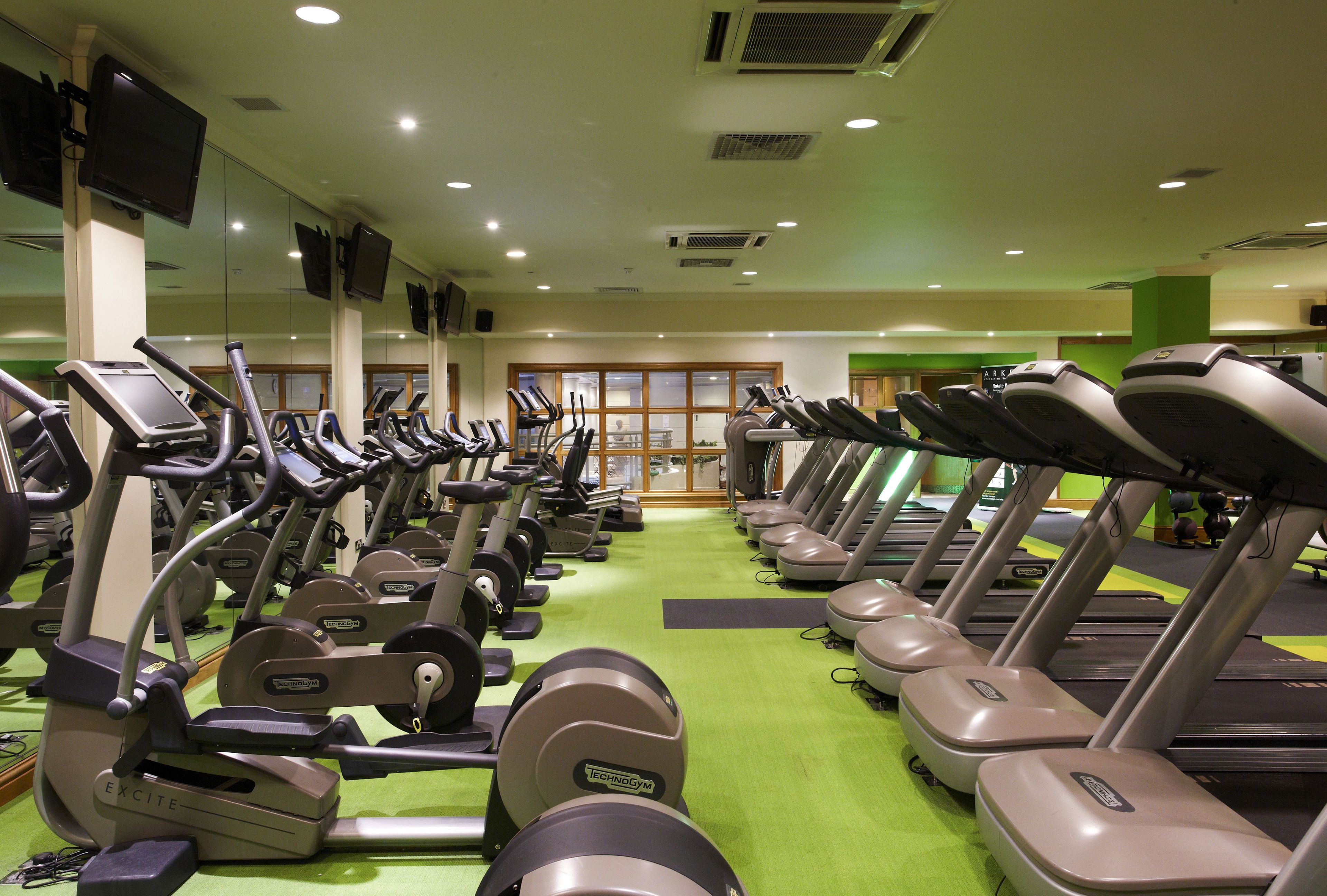 A gym with multiple treadmills and elliptical machines arranged in rows.