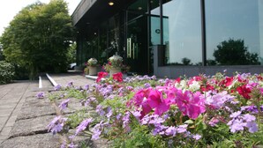 A building with a modern glass facade and a stone pathway leading to a flower bed with various flowers. - The Manor House At Celtic Manor (Newport)