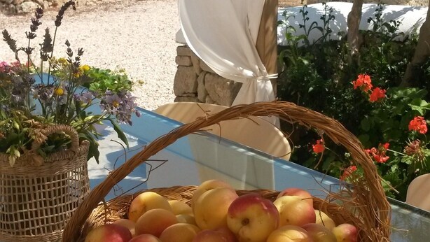 Una cesta de mimbre llena de manzanas amarillas y rojas sobre una mesa al aire libre.