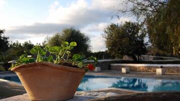 Utomhuspool, parasoller och solstolar