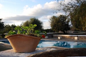 Açık yüzme havuzu, havuz şemsiyeleri, şezlonglar 