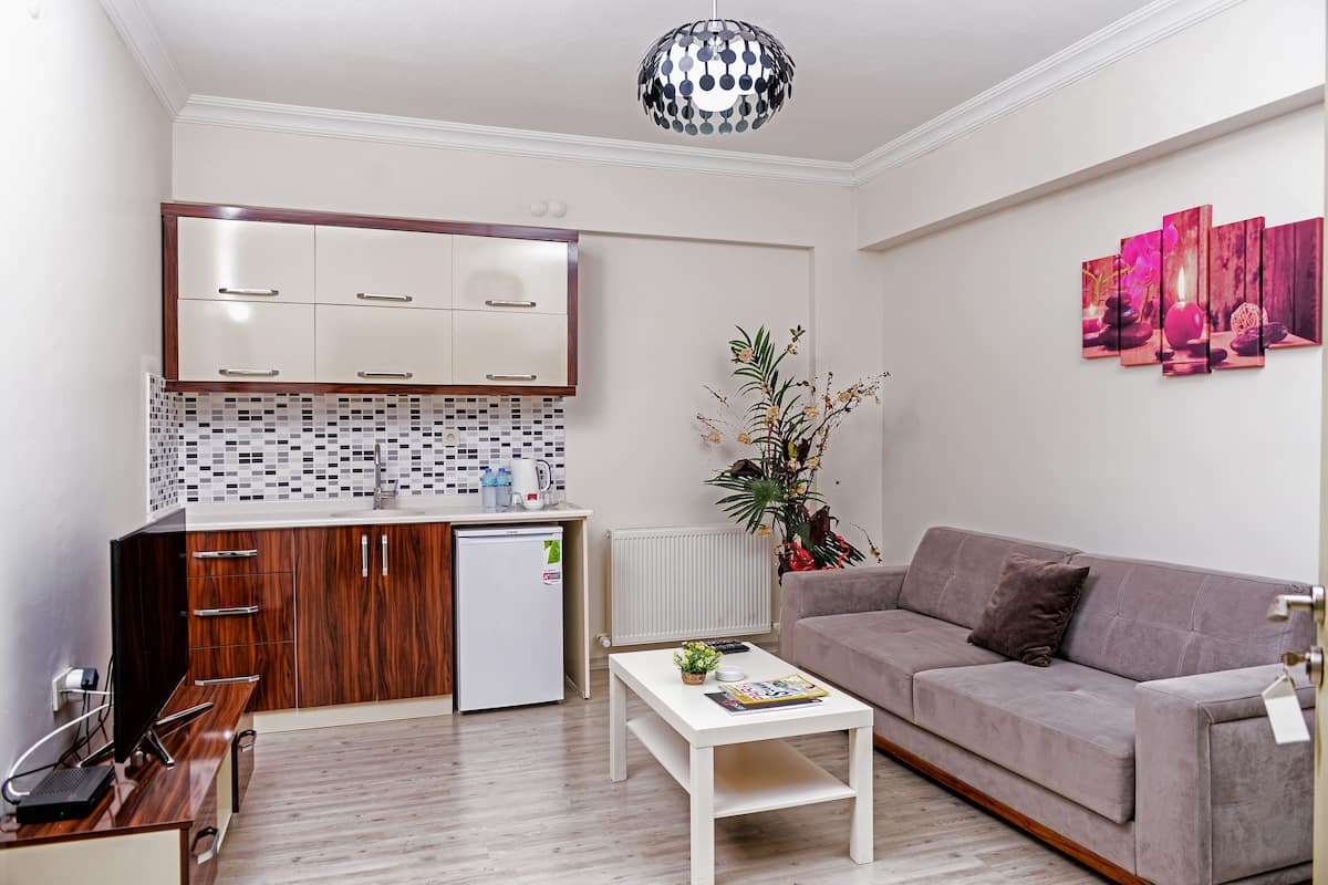 A compact living space with a kitchenette, a sofa, a coffee table, and a potted plant.