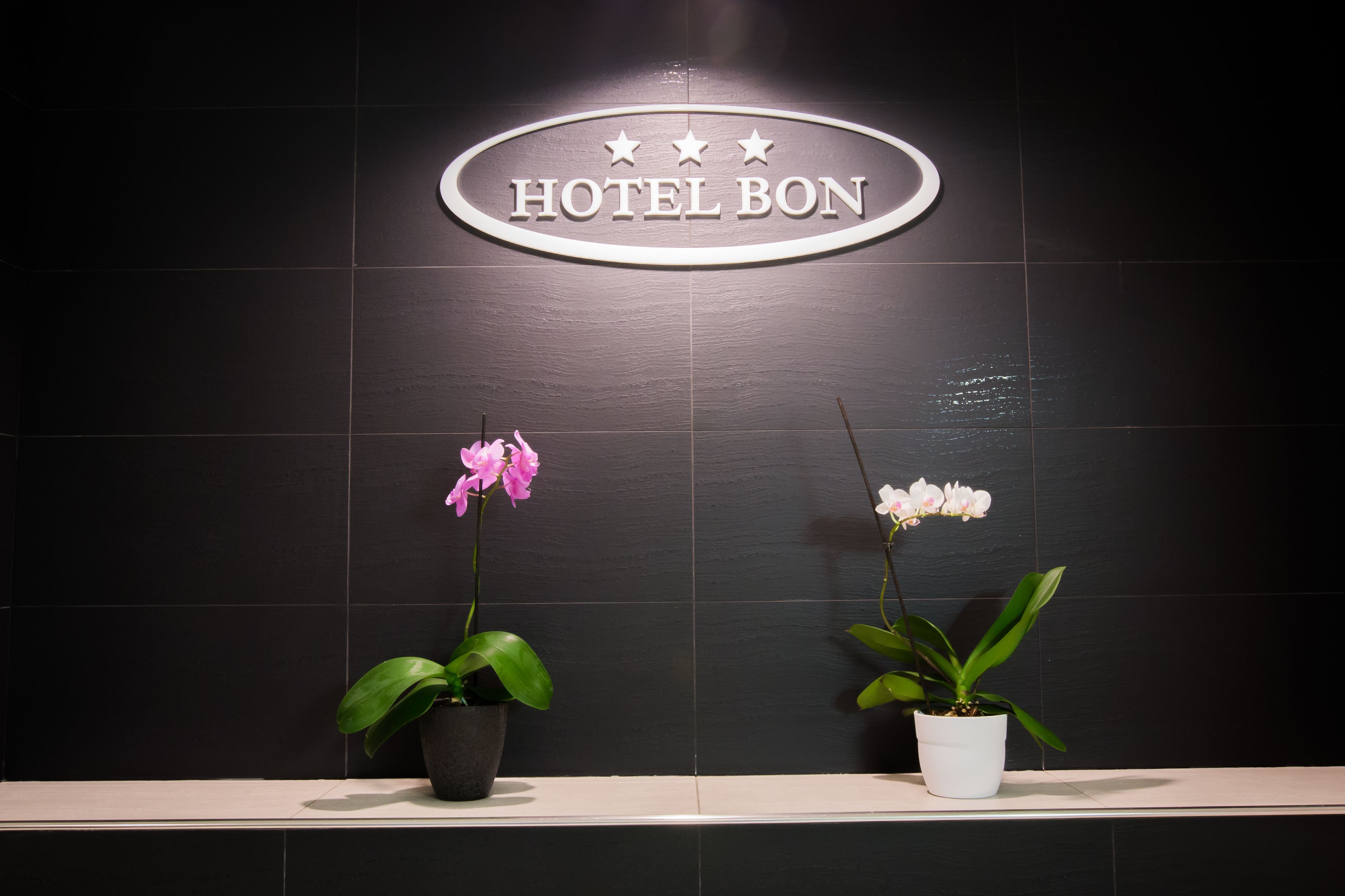 A reception desk with a sign reading "HOTEL BON" and two potted plants with flowers.