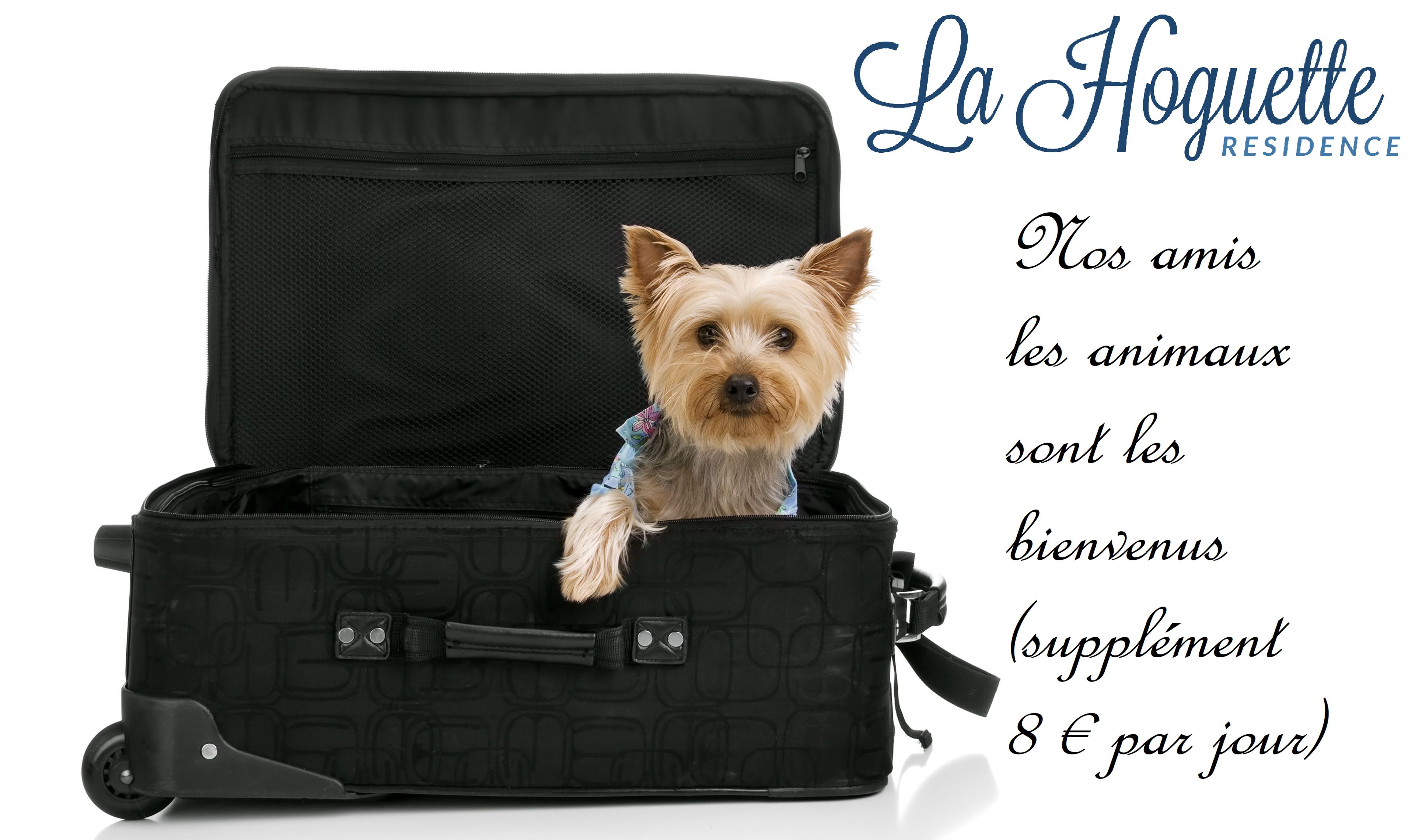 Animaux de compagnie acceptés