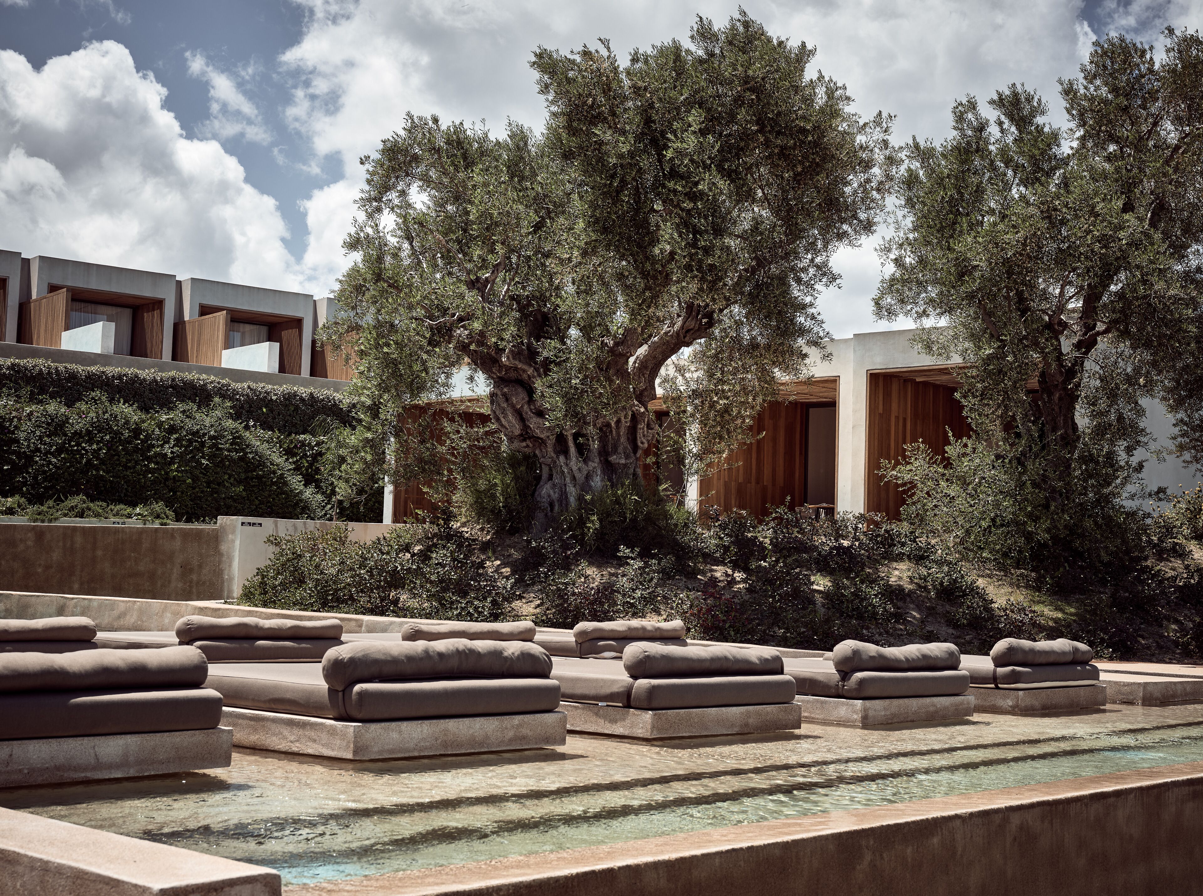 Un área de piscina moderna al aire libre con tumbonas de piedra y un gran árbol al fondo.