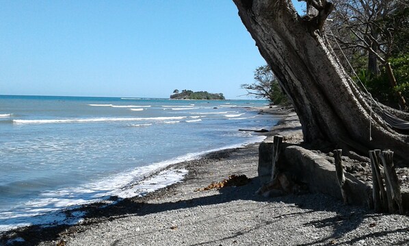 On the beach, sun-loungers, snorkelling, surfing - The Howler Monkey Hotel (Cóbano)