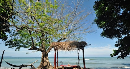 The Howler Monkey Hotel
