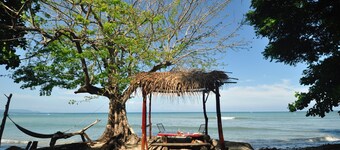 The Howler Monkey Hotel