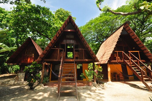 The Howler Monkey Hotel