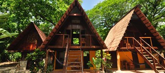 The Howler Monkey Hotel