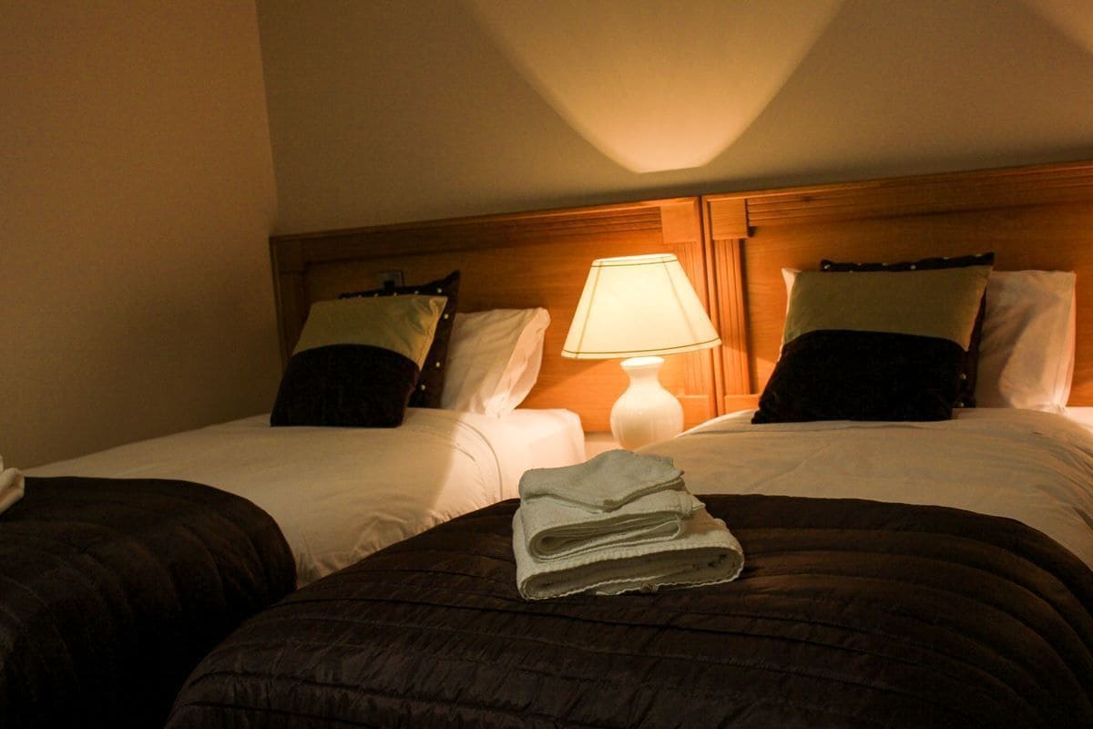 deluxe twin room | iron/ironing board, free wifi, bed sheets