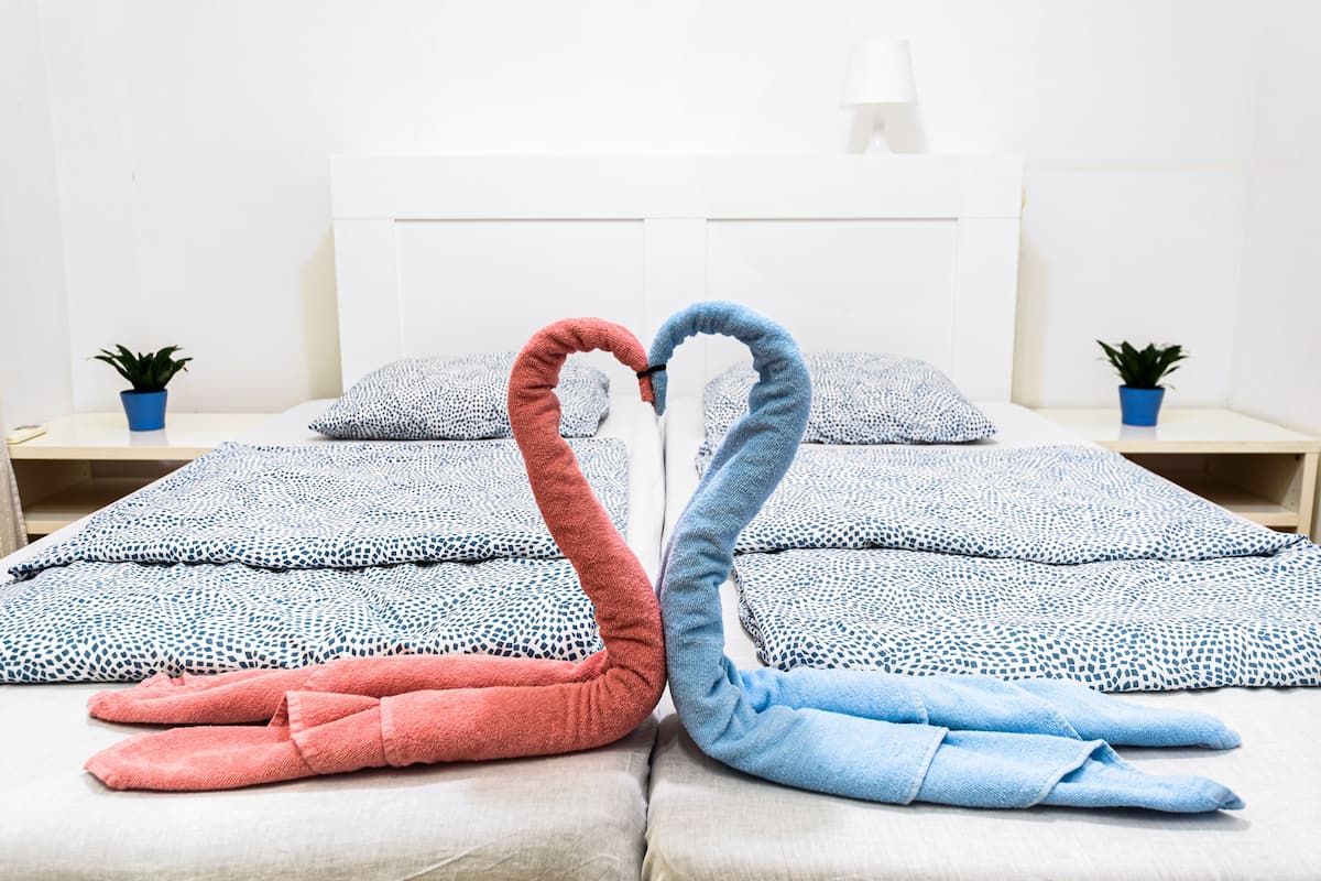 Superior Double or Twin Room | Free WiFi, bed sheets