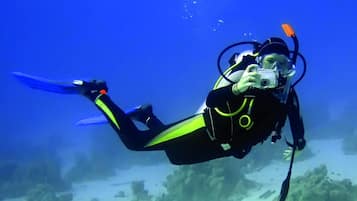 A diver in a black and yellow wetsuit with fins, underwater.