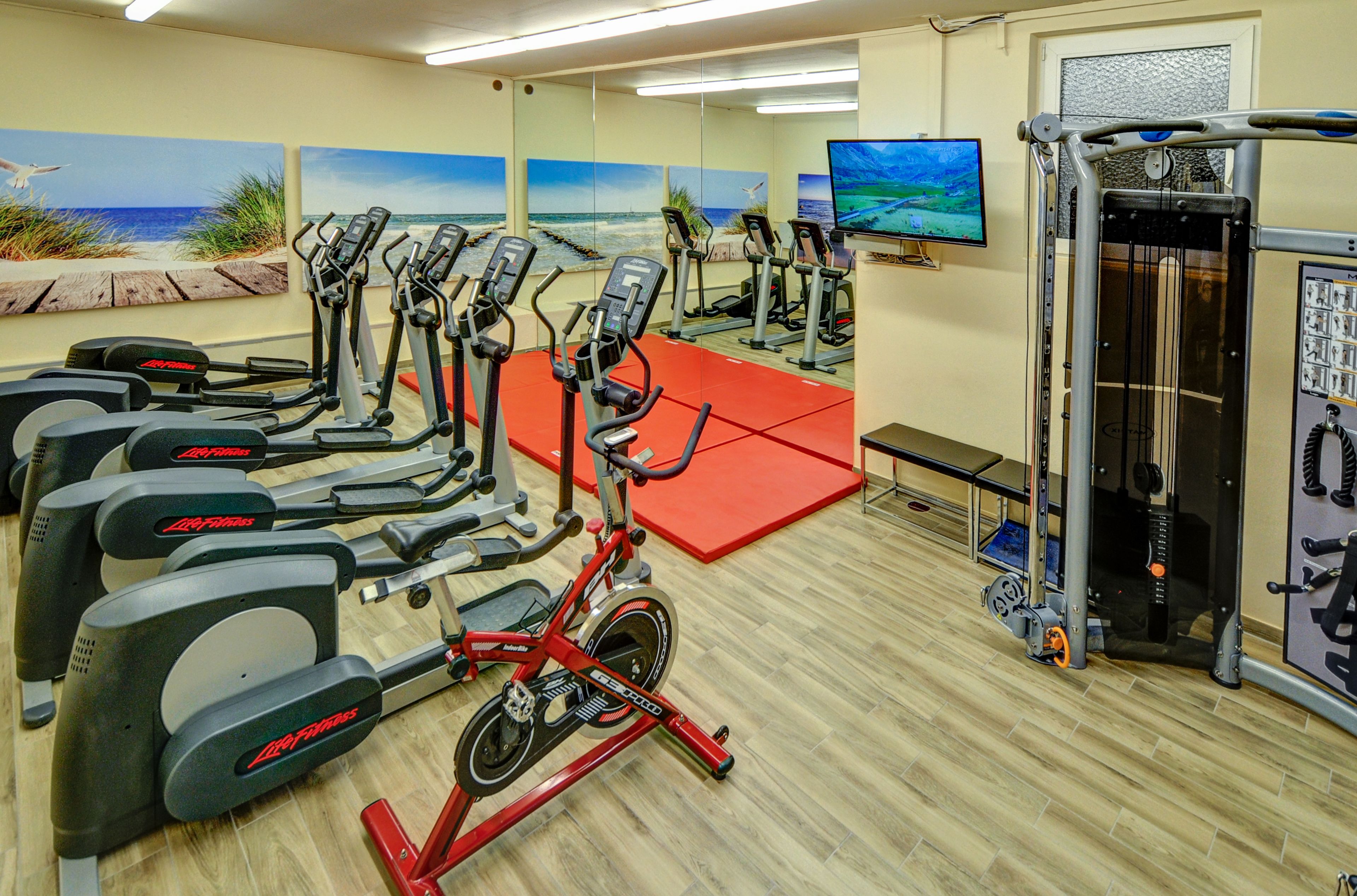 Une salle de sport équipée de plusieurs appareils de cardio, d’un tapis rouge et d’un espace dédié à la musculation.