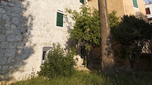 Un bâtiment en pierre avec des volets verts et un palmier devant.
