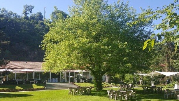 Un amplio espacio al aire libre con un árbol grande, mobiliario exterior y un edificio con techo de tejas.