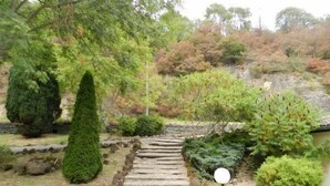 Un sendero de piedra que atraviesa un jardín con arbustos diversos y un gran conífero.