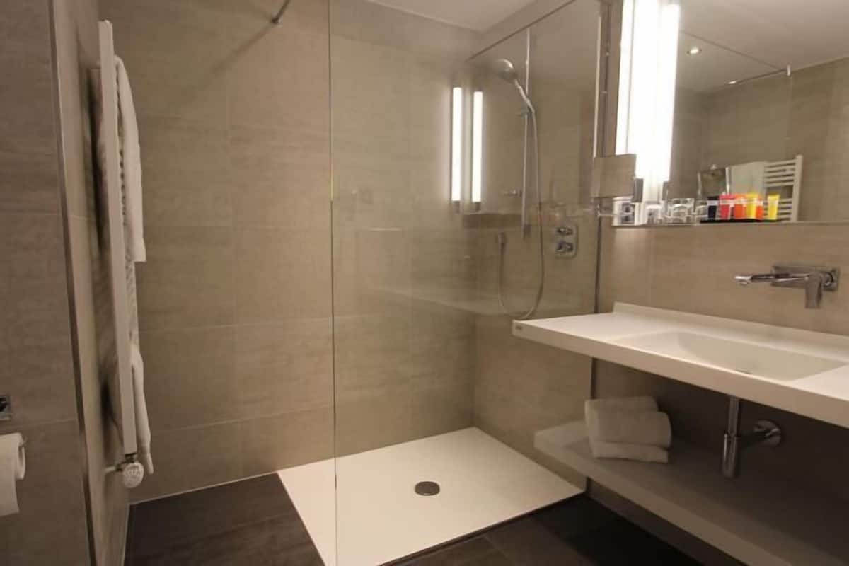 shower, free toiletries, hair dryer, towels