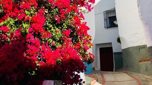 A narrow street with white buildings and a red flowering bush. - HR Mirador (Canillas de Albaida)