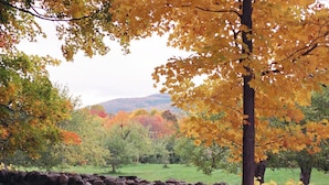 A stone wall with trees in autumn colors.